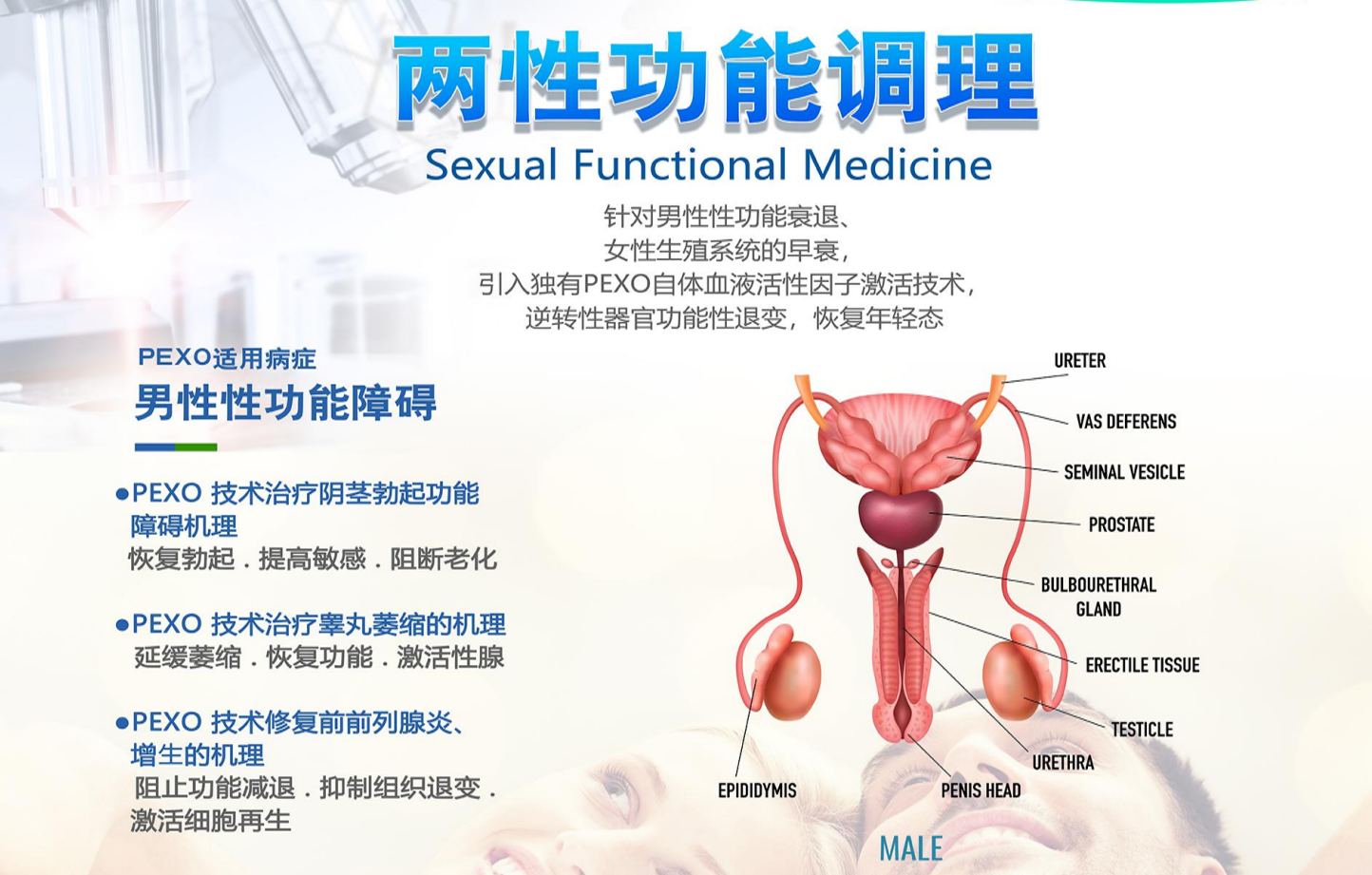 &#27431;&#23453;&#97;&#112;&#112;&#23448;&#26041;&#31471;&#20837;&#21475;&#45;&#27431;&#23453;&#40;&#20013;&#22269;&#41;